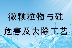 半導(dǎo)體行業(yè)生產(chǎn)用水中的微顆粒物與硅的危害及