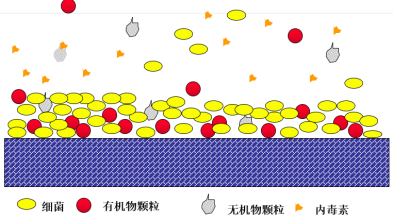 假期歸來，實驗室純水系統(tǒng)這樣維護(hù)，避免實驗